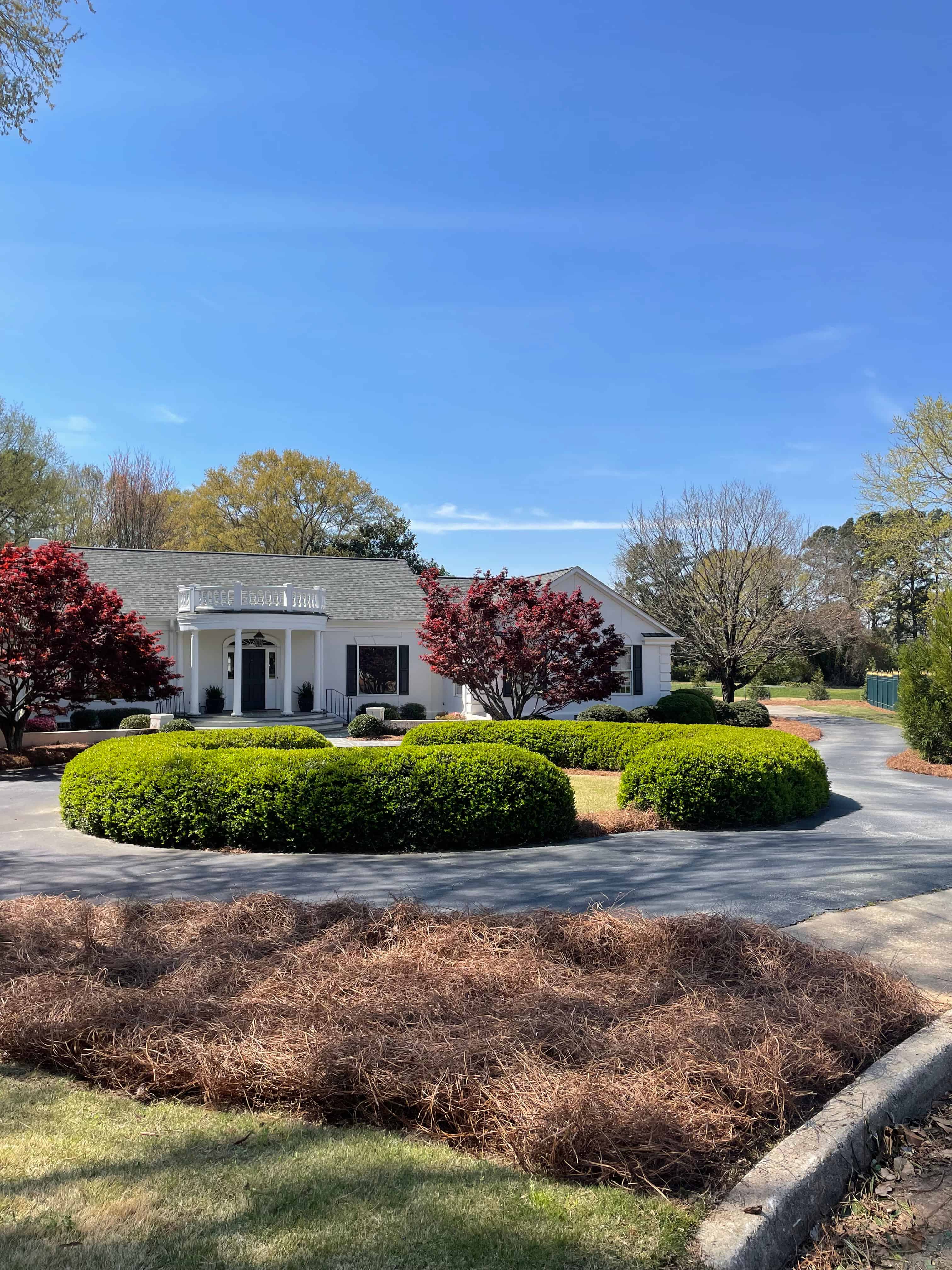 Seasonal Yard Clean-Up Services image