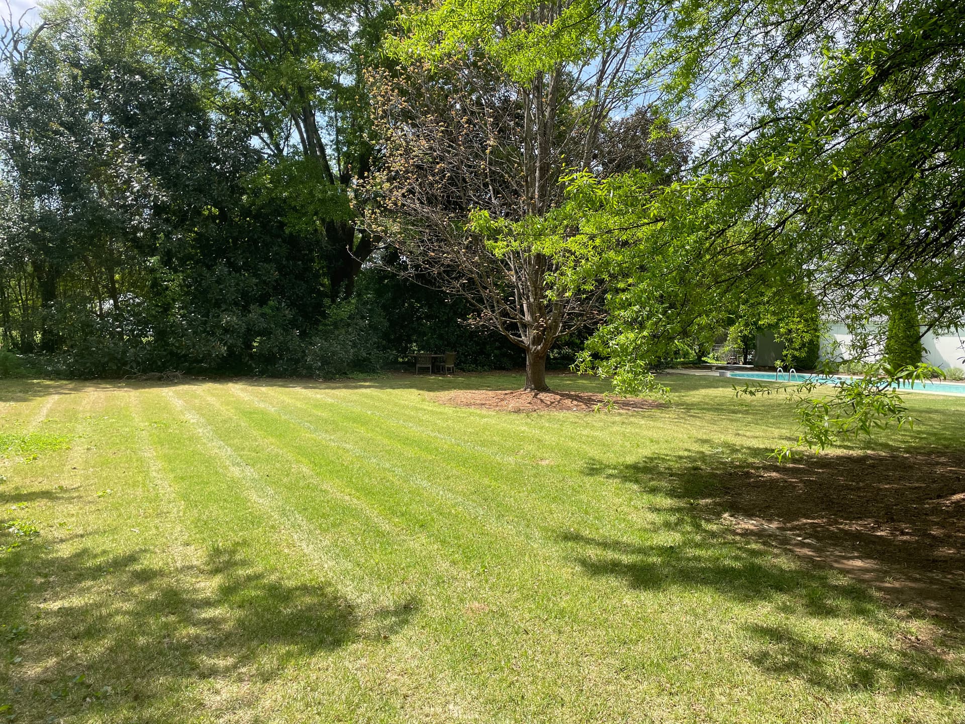 Stunning Backyard Transformation in Berea SC image