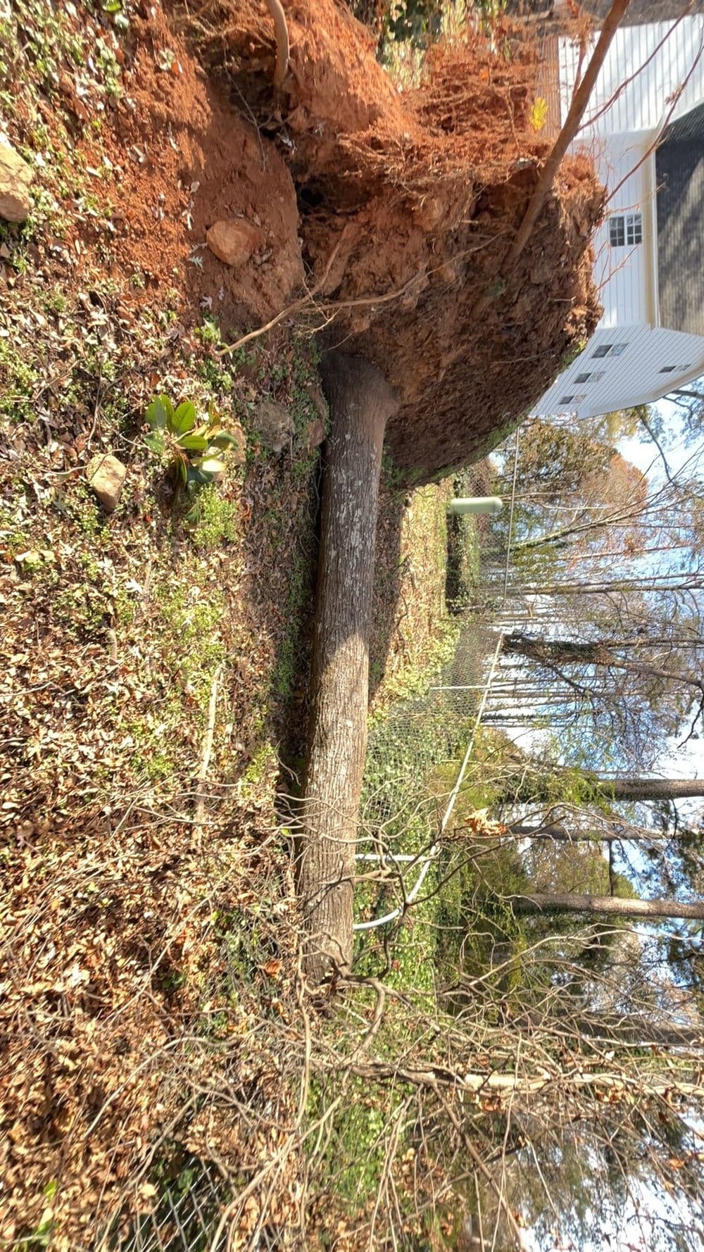 Gallery photos for Expert Site Clearing in Berea SC: Image #7