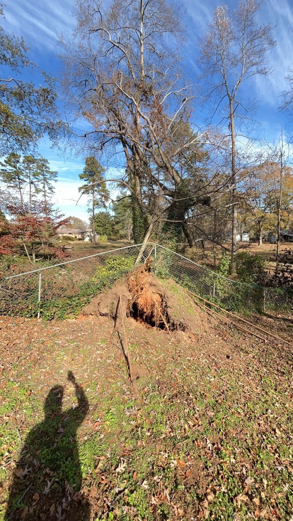 Gallery photos for Expert Site Clearing in Berea SC: Image #6