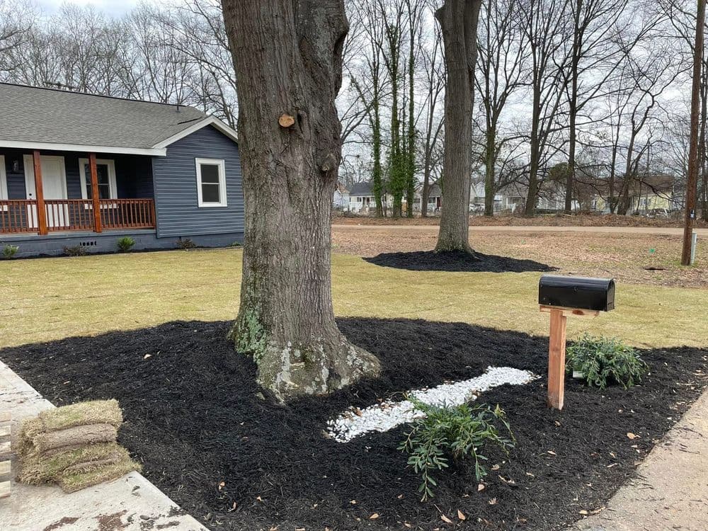Mulched garden around a tree with a black mailbox and green plants near a cozy home.