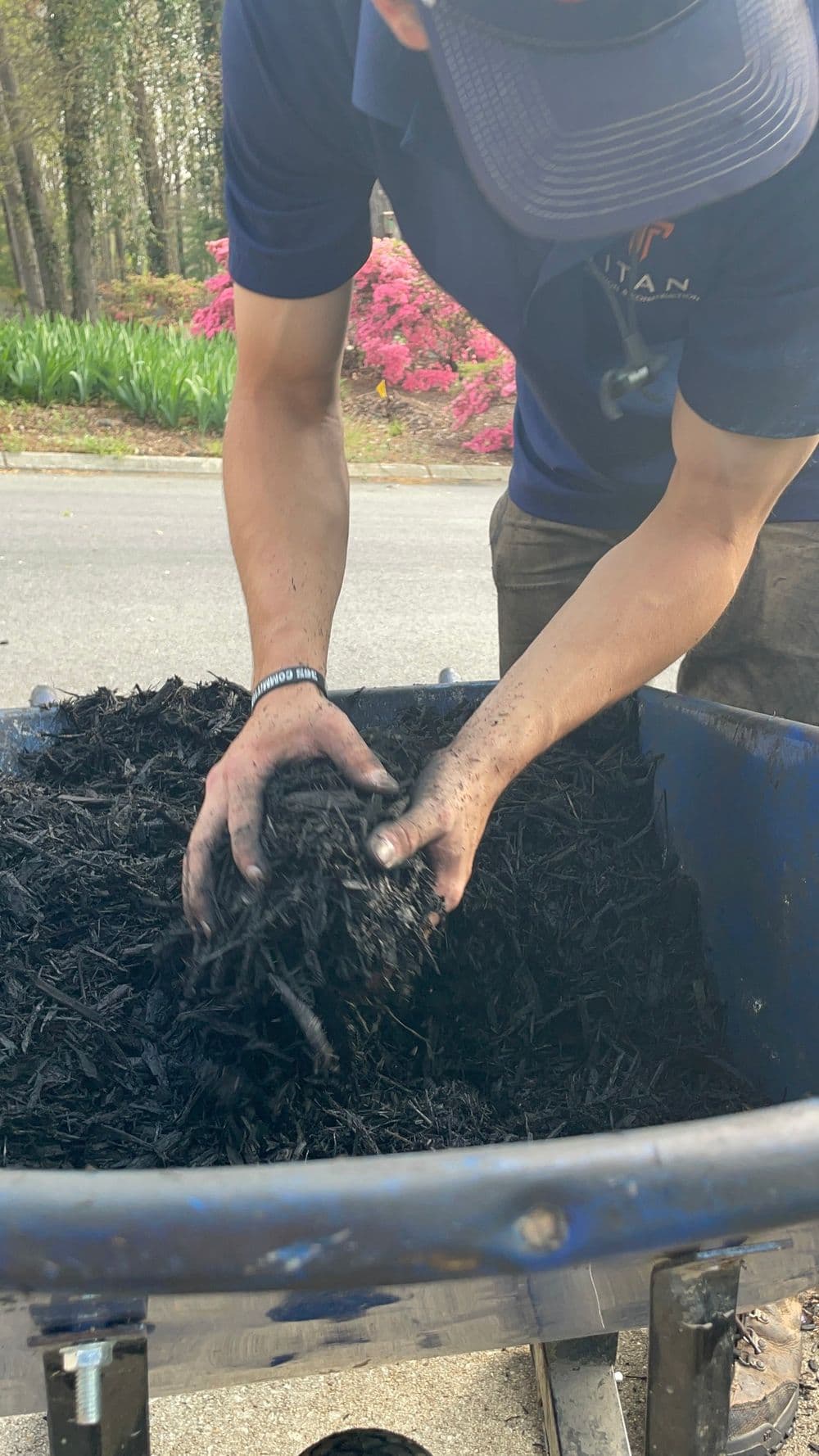 Person applying mulch from a wheelbarrow in a garden with blooming flowers in the background.